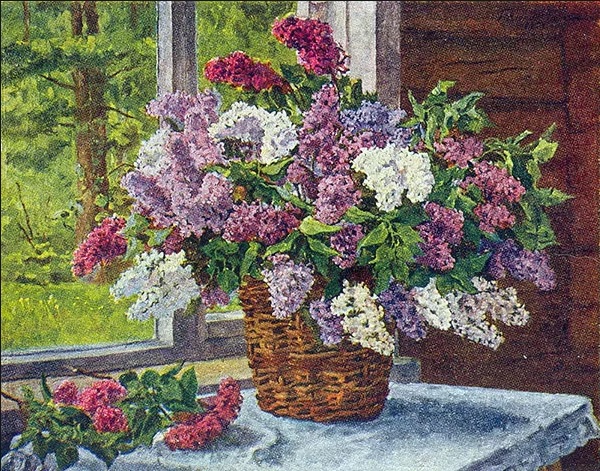 Сочинение по картине "Сирень в корзине" П. П. Кончаловского