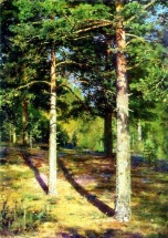 Сочинение по картине Шишкина "Сосны, освещенные солнцем"