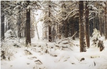 Сочинение по картине Шишкина "Зима"